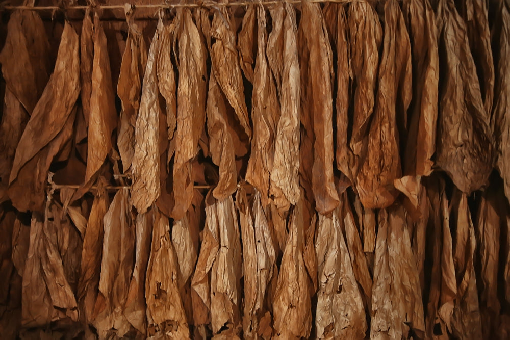 Understanding Wrapper Types: From Connecticut Shade to San Andrés Maduro