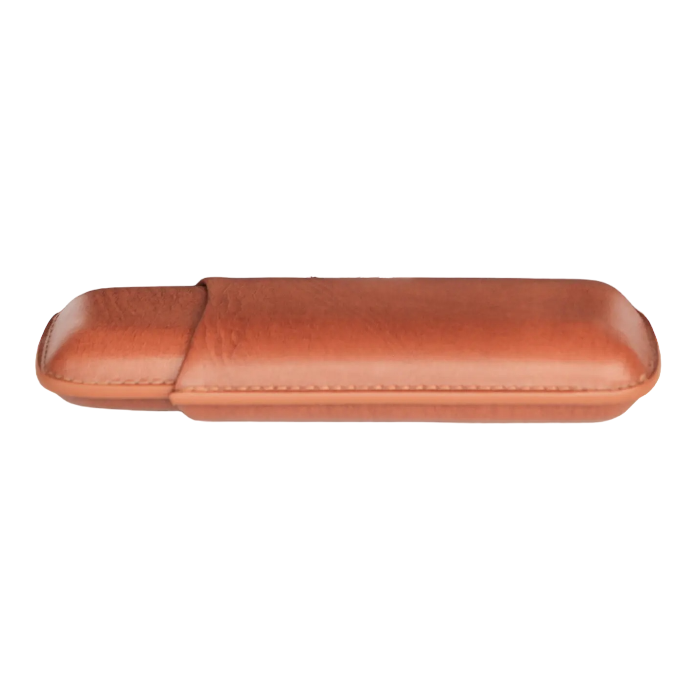 Posh Cigar Travel Case